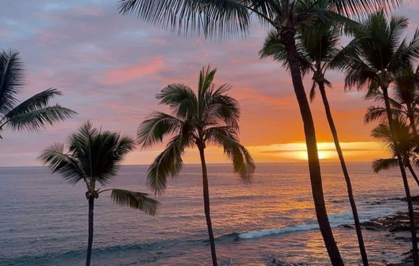 Hawaii'li Amerika — tur galerisi, fotoğraf 2