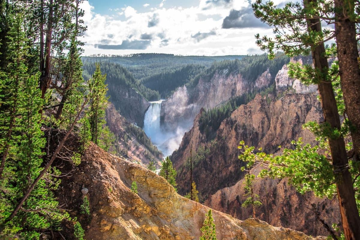 Yellowstone 2