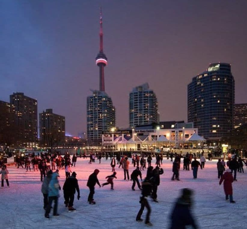 Toronto2