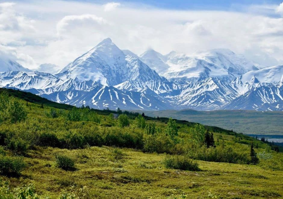 Denali 3