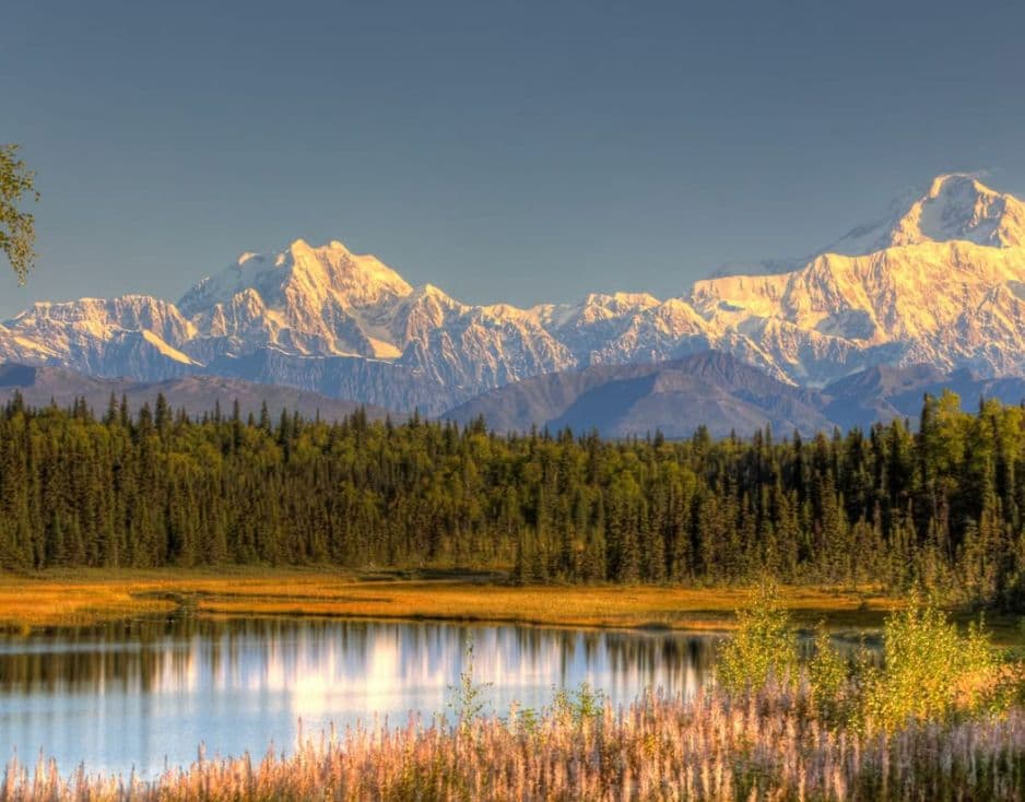 Denali 4